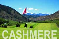 mount cashmere golf course
