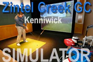 Zintel Creek Simulator