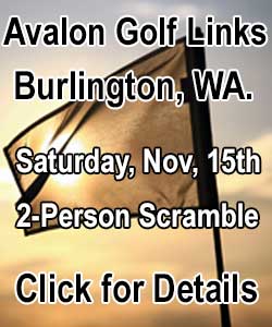 avalon 250a 11 15 25