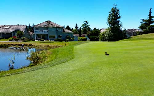 Gleneagle Golf Course - Golf Washington