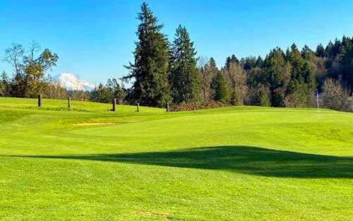 Madrona Links Golf Course - Golf Washington