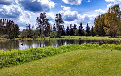 The Blue Heron Golf Course - Golf Washington