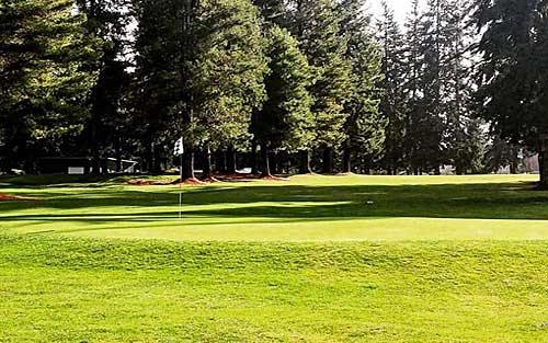 Village Greens Golf Course - Golf Washington